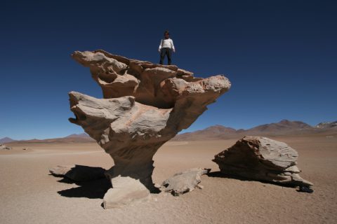 Arbol de Piedra