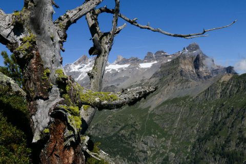 Dents du Midi depuis le Scex des Granges