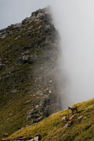 Etagnes aux Rochers de Gagnerie