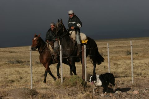 Gauchos dans la pampa