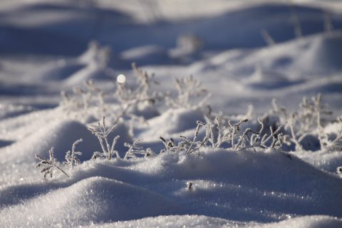 Givre