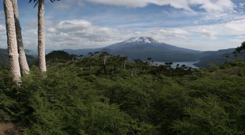 Lac et volcan Conguillo