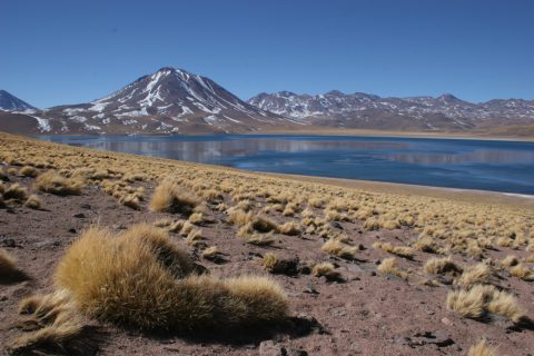 Lac Miscanti au Chili