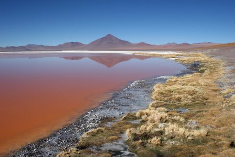 Laguna Colorada