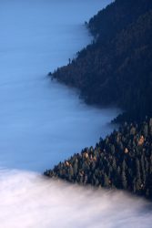 Mer de brouillard