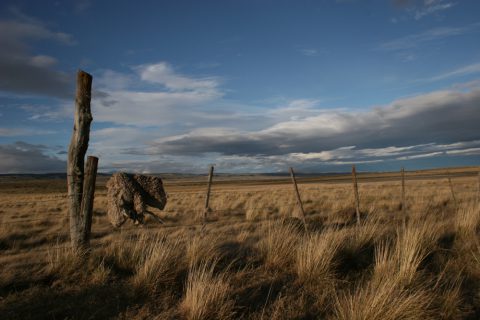 Pampa - Chili / Argentine