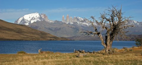 Panorama - Torres del Paine