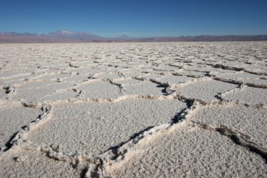 Salar