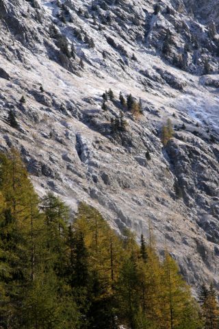 Vallon de Van en automne